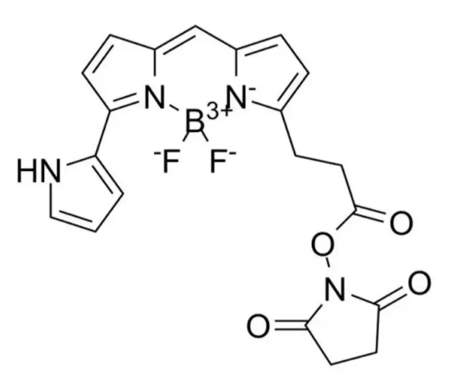 1677220727371226.png image.png