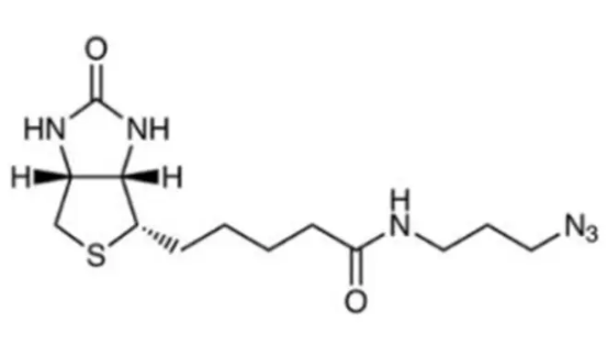 Biotin-Azide，Biotin-PEG4-Amine-C6-Azide，CAS：908007-17-0/1006592-62-6，叠氮生物素可通过铜催化的点击反应与末端炔烃反应