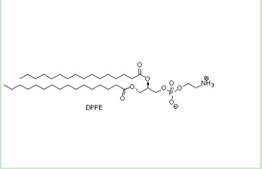 培美曲塞-聚乙二醇-二棕榈酰基磷脂酰乙醇胺