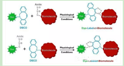 sulfadimethoxine-PEG-DBCO sulfadimethoxine-PEG-DBCO