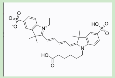 sulfadimethoxine-PEG-Cyanine5