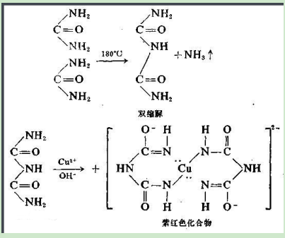 anisamide-PEG2000-Ovalbumin