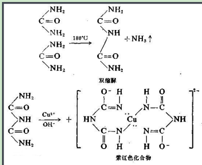 奥司他韦-聚乙二醇-卵清蛋白 奥司他韦-聚乙二醇-卵清蛋白