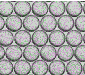 橙色荧光聚苯乙烯微球 1μm，Orange fluorescent polystyrene microsphere 1 μ m