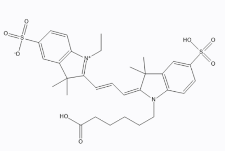 荧光染料CY3标记姜黄素