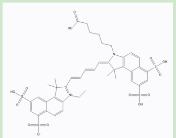 姜黄素-聚乙二醇-CY5.5 