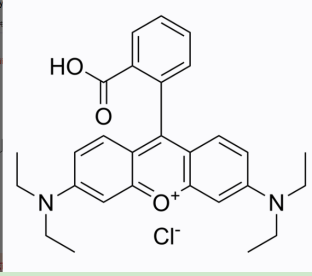 姜黄素-聚乙二醇-罗丹明B 
