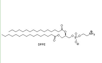 姜黄素-聚乙二醇-二棕榈酰基磷脂酰乙醇胺