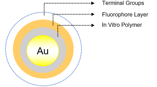 荧光标记金纳米球