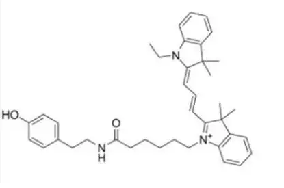 1678697127379795.png 1.png