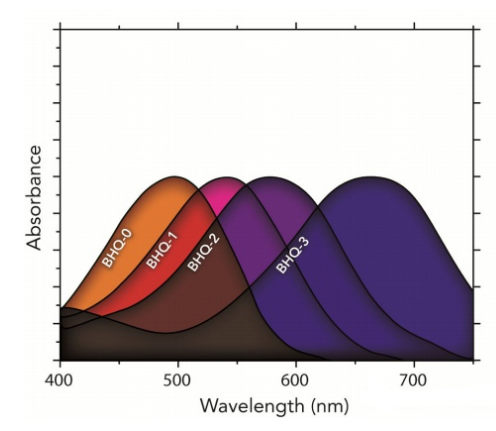 1679452056623783.png image.png