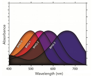 1679467544804977.png image.png