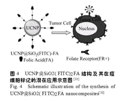 稀土掺杂上转换氟化物纳米材料 稀土掺杂上转换氟化物纳米材料