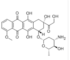 Cas号:56420-45-2 Cas号:56420-45-2