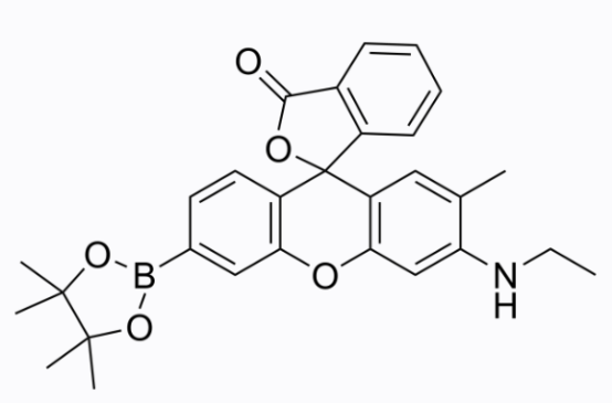 cas:1404091-23-1 NucPE1 