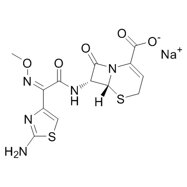 Ceftizoxime Sodium Ceftizoxime Sodium