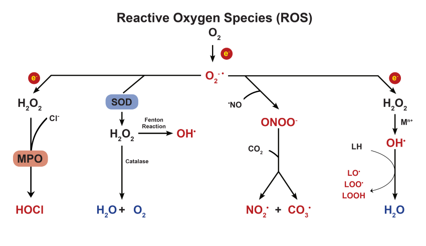1680159663191291.png 微信截图_20230329110120.png