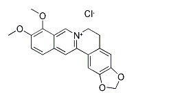 活化氧Berberine hydrochloride,盐酸小檗碱,CAS:633-65-8 活化氧Berberine hydrochloride,盐酸小檗碱,CAS:633-65-8