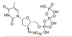 活化氧AZT triphosphate，CAS：92586-35-1，分子式C10H16N5O