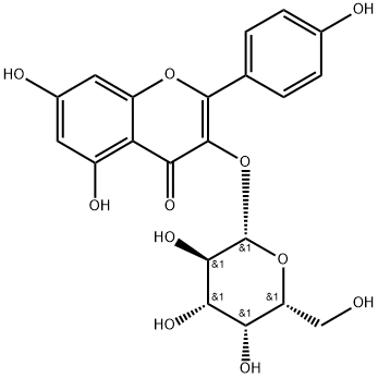 活化氧ROS分子kaempferol-3-O-galactoside三叶豆苷,CAS:23627-87-4 活化氧ROS分子kaempferol-3-O-galactoside三叶豆苷,CAS:23627-87-4