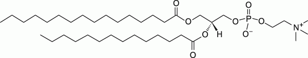 16:0-14:0 PC|1-palmitoyl-2-myristoyl-sn-glycero-3-phosphocholine|PC磷脂 16:0-14:0 PC|1-palmitoyl-2-myristoyl-sn-glycero-3-phosphocholine|PC磷脂