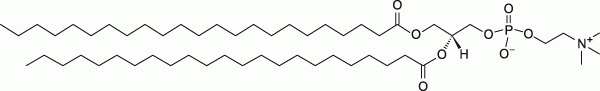 23:0 PC|1,2-ditricosanoyl-sn-glycero-3-phosphocholine 23:0 PC|1,2-ditricosanoyl-sn-glycero-3-phosphocholine