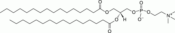 16:0 PC (DPPC)|1,2-dipalmitoyl-sn-glycero-3-phosphocholine 16:0 PC (DPPC)|1,2-dipalmitoyl-sn-glycero-3-phosphocholine