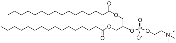 16:0 2-PC|1,3-dipalmitoyl-rac-glycero-2-phosphocholine 16:0 2-PC|1,3-dipalmitoyl-rac-glycero-2-phosphocholine