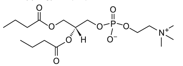 04:0 PC|1,2-dibutyryl-sn-glycero-3-phosphocholine 04:0 PC|1,2-dibutyryl-sn-glycero-3-phosphocholine