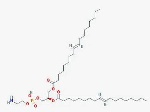 二油酰基磷脂酰乙醇胺 二油酰基磷脂酰乙醇胺
