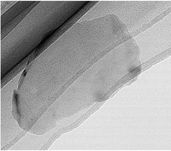 黑磷纳米片BPNSs 黑磷纳米片BPNSs