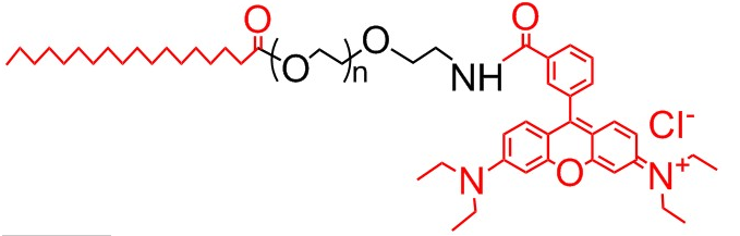 SA-PEG-RB、硬脂酸 聚乙二醇 罗丹明、硬脂酸-PEG-Rhodamine