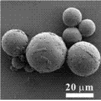 PLGA微球 PLGA微球