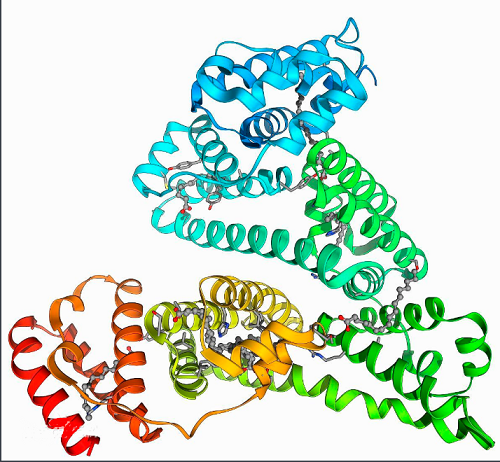 BSA修饰四氧化三铁10nm BSA修饰四氧化三铁10nm