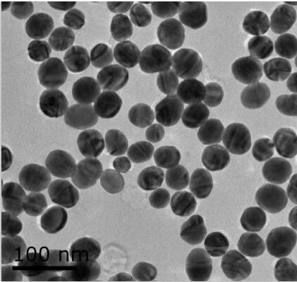 球形金纳米颗粒 球形金纳米颗粒
