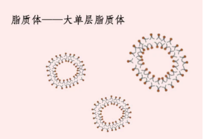 PEG化阳离子脂质体包载阿霉素DOX PEG化阳离子脂质体包载阿霉素DOX