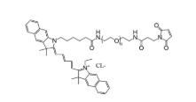 CY5.5-聚乙二醇-马来酰亚胺,CY5.5-PEG-Mal,花青素Cy5-聚乙二醇-马来酰亚胺 CY5.5-聚乙二醇-马来酰亚胺,CY5.5-PEG-Mal,花青素Cy5-聚乙二醇-马来酰亚胺