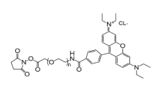 罗丹明-聚乙二醇-活性酯,RB-PEG-NHS,Rhodamine-PEG-NHS 罗丹明-聚乙二醇-活性酯,RB-PEG-NHS,Rhodamine-PEG-NHS