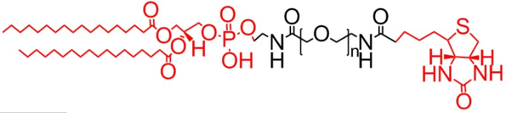 DSPE-PEG-Biotin、二硬脂酰基磷脂酰乙醇胺-聚乙二醇-生物素、磷脂PEG生物素