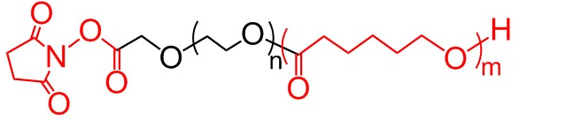 1684982279208108.png 1.png