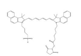 NHS-ICG，吲哚菁绿-琥珀酰亚胺酯，1622335-40-3，活化脂的荧光标记