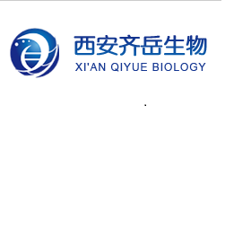 Fmoc-PEF2K-β-CD Fmoc-PEF2K-β-CD