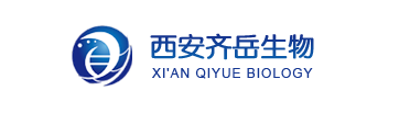 HS-PEG-SH水凝胶 用于药物递送 HS-PEG-SH水凝胶 用于药物递送