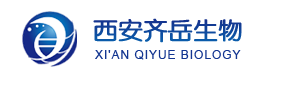 1706250578693486.png image.png