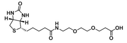 Biotin-PEG2-Acid;1365655-89-5;生物素-二聚乙二醇-羧基 Biotin-PEG2-Acid;1365655-89-5;生物素-二聚乙二醇-羧基