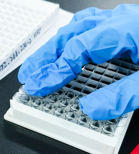 水凝胶载微球定制技术（Custom Hydrogel-Encapsulated Microspheres）