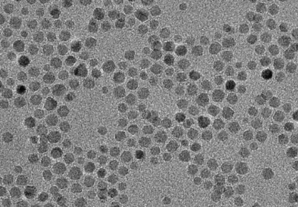 Fe₃O₄@MnO₂ 纳米粒子（粒径50 nm）