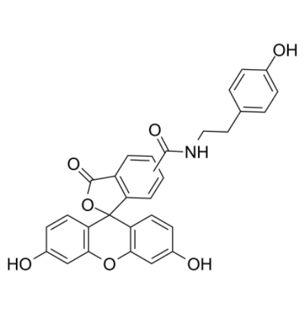 Fluorescein tyramide Fluorescein tyramide