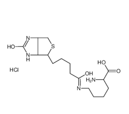 Nε-Biotinyl-L-lysine Nε-Biotinyl-L-lysine