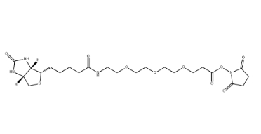 （+）-Biotin-PEG3-NHS Ester